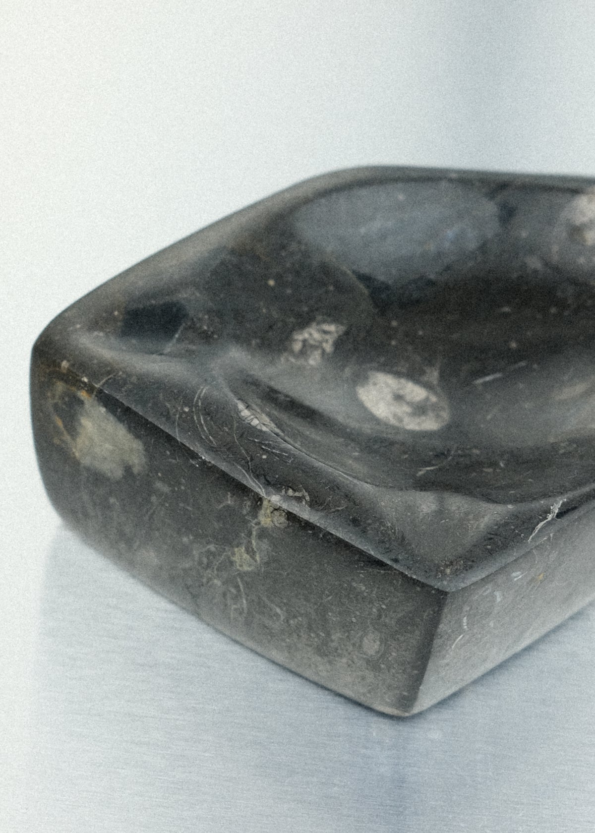 vide-poche fossile orthoceras