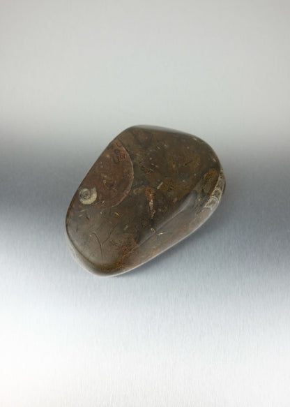 vide-poche en pierre fossile