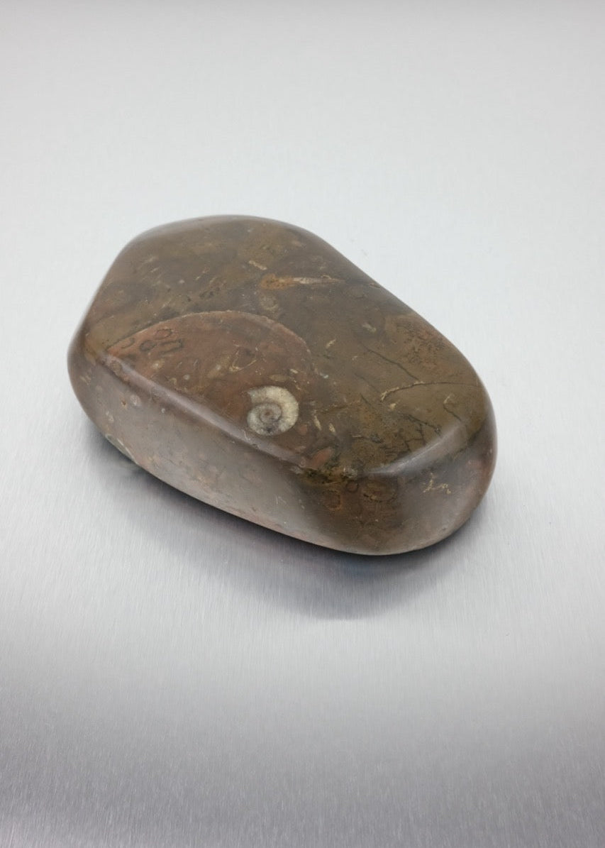 vide-poche en pierre fossile