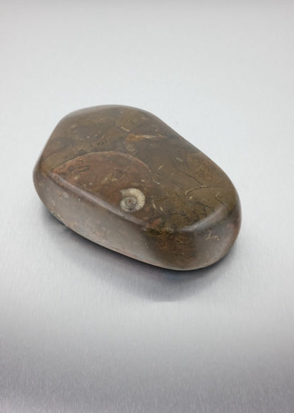 vide-poche en pierre fossile