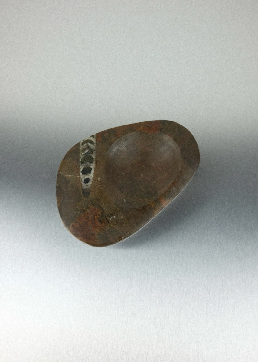 vide-poche en pierre fossile