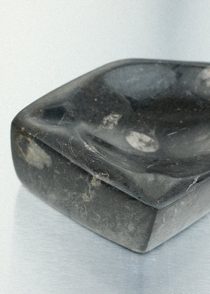 vide-poche fossile orthoceras