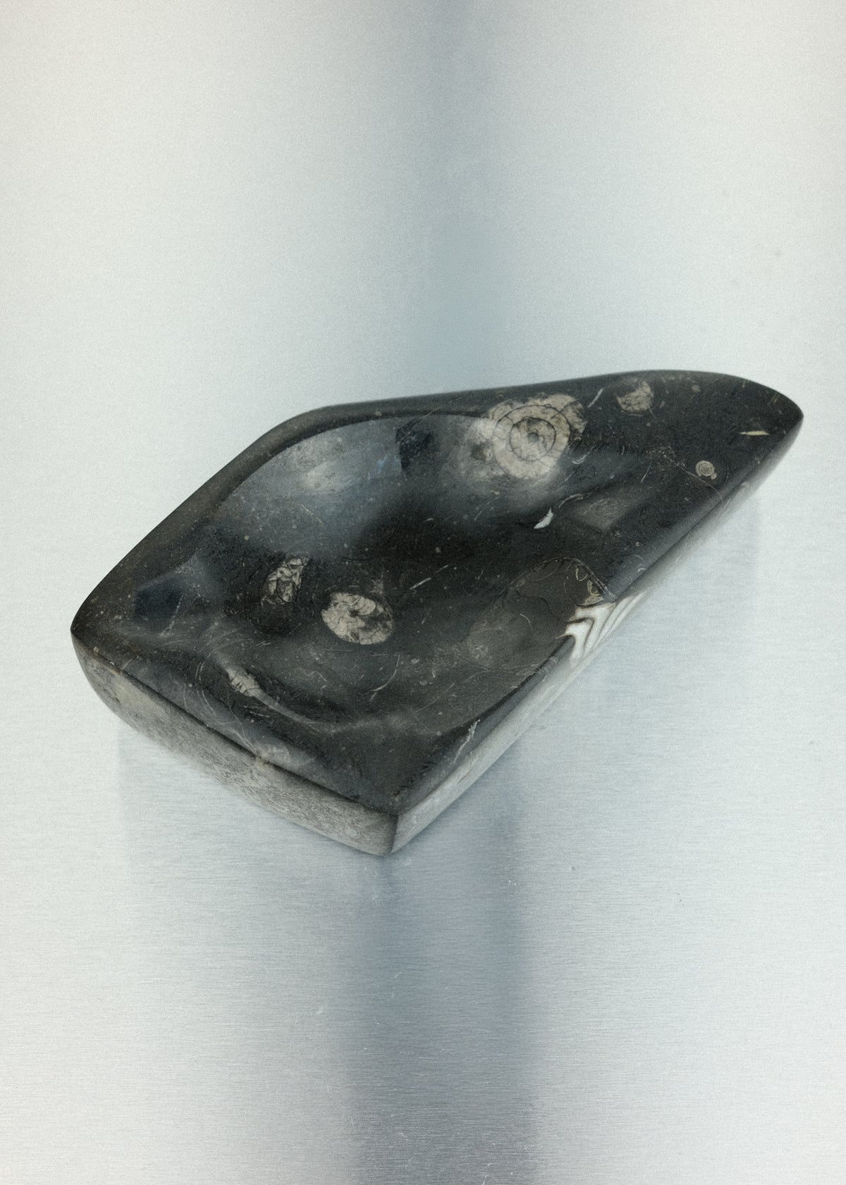 vide-poche fossile orthoceras