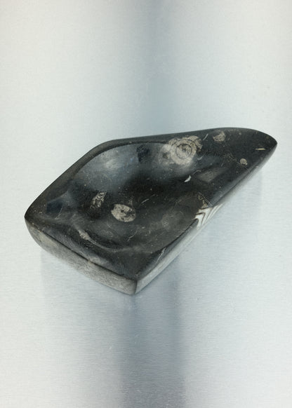 vide-poche fossile orthoceras