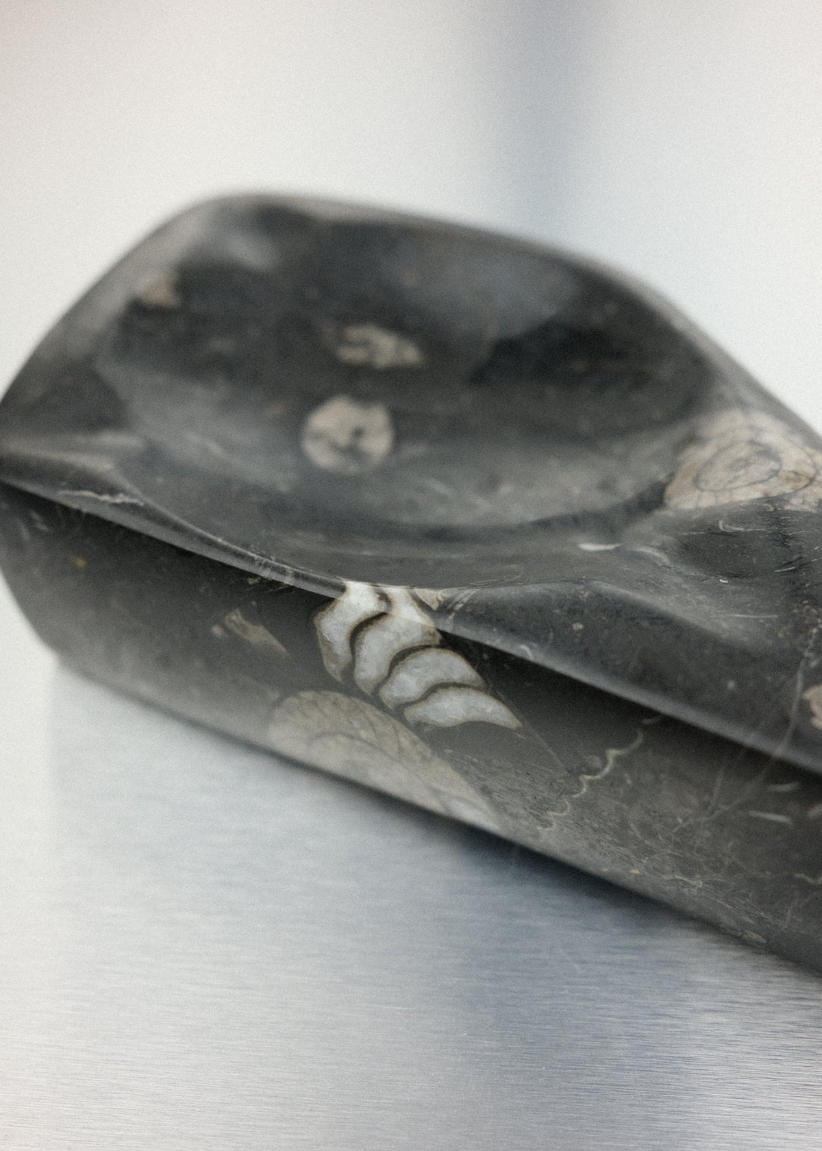 vide-poche fossile orthoceras