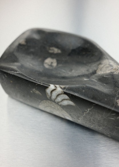 vide-poche fossile orthoceras